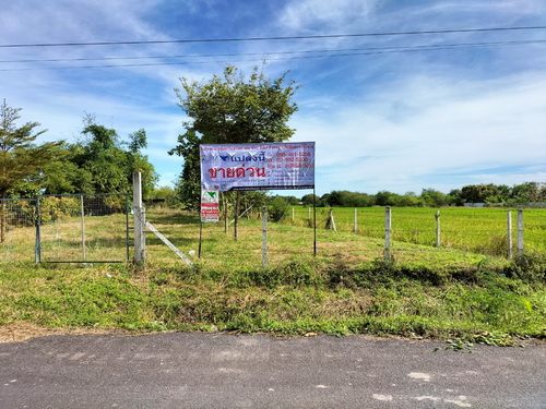 ขายที่ดินในอ.ดอนเจดีย์ จ.สุพรรณบุรี 2 ไร่ ทำเลดี ติดถนนลาดยาง ถมแล้ว ล้อมรั้วลวดหนาม