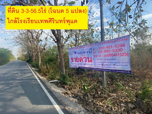 ขายที่ดิน 3-3-56.5 ไร่ (โฉนด 5 แปลง) ซื้อยกแปลงหรือแบ่งได้ ต.พุแค อ.เฉลิมพระเกียรติ จ.สระบุรี