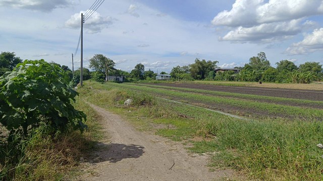 รหัส: ด.0005 ประกาศขาย พื้นที่ดิน ที่ดิน บางเดื่อ ใกล้ถนนราชพฤกษ์ ตัดใหม่ ปทุมธานี area 11 ไร่ 1 Ngan 76 SQ.WA 8000000 – ที่สุดของความสบาย