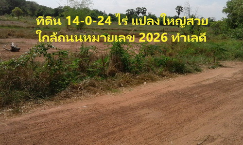 ขายที่ดินเปล่า 14-0-24 ไร่ ต.ขามเรียง อ.กันทรวิชัย จ.มหาสารคาม