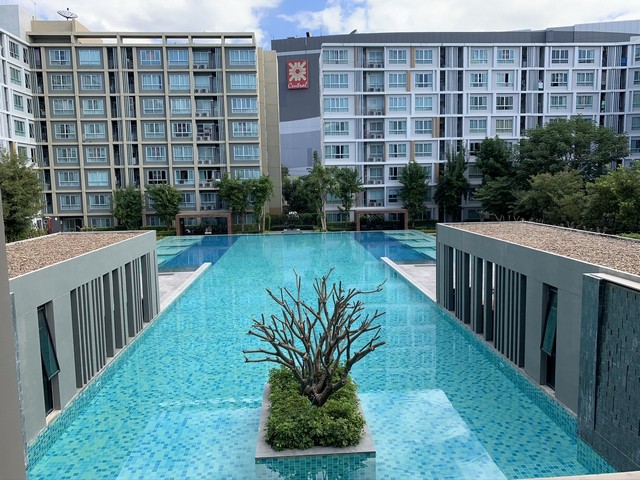 เรียนเชิญทุกท่านมาลงทุนกับ D Condo Sing Chiang Mai ทำเลทองติดเซ็นทรัลเฟสติวัลเชียงใหม่ เฟอร์นิเจอร์ครบครัน ขาย 3,900,000 บาท