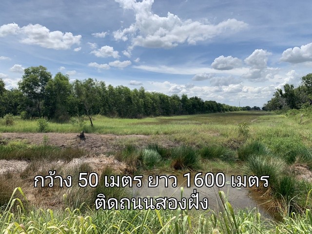 ขายที่ดิน​ 49-3-41​ไร่​ เลียบ​คลอง​รพีพัฒน์​ พยอม​ วังน้อย​ อยุธยา​ เหมาะทำโครงการบ้านจัดสรร​