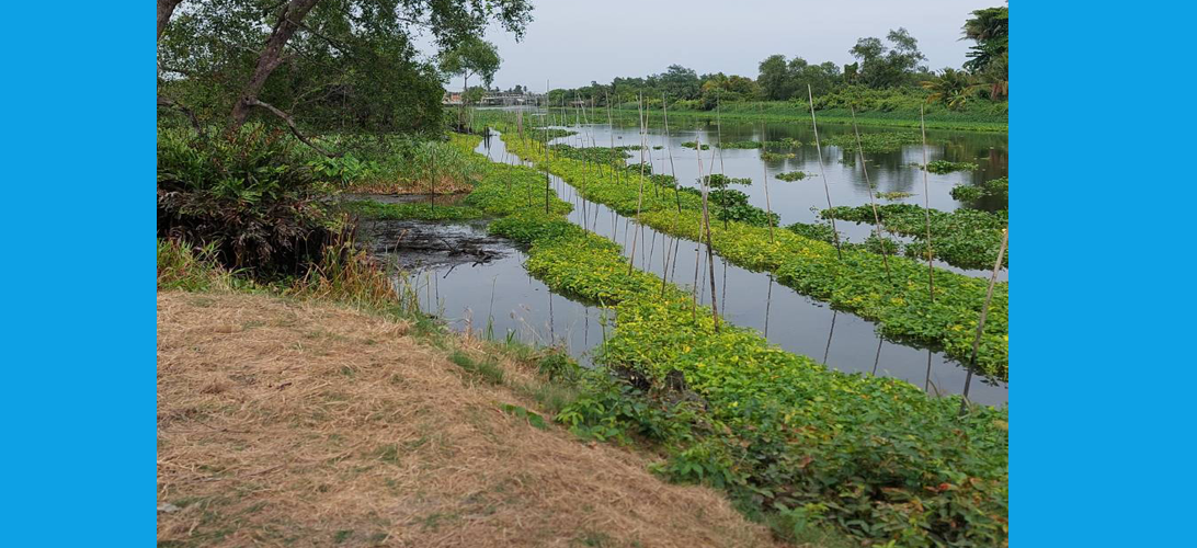 ขายที่ดินตำบลคลองดัน-บ้านแพ้วติดริมคลองดำเนินสะดวก