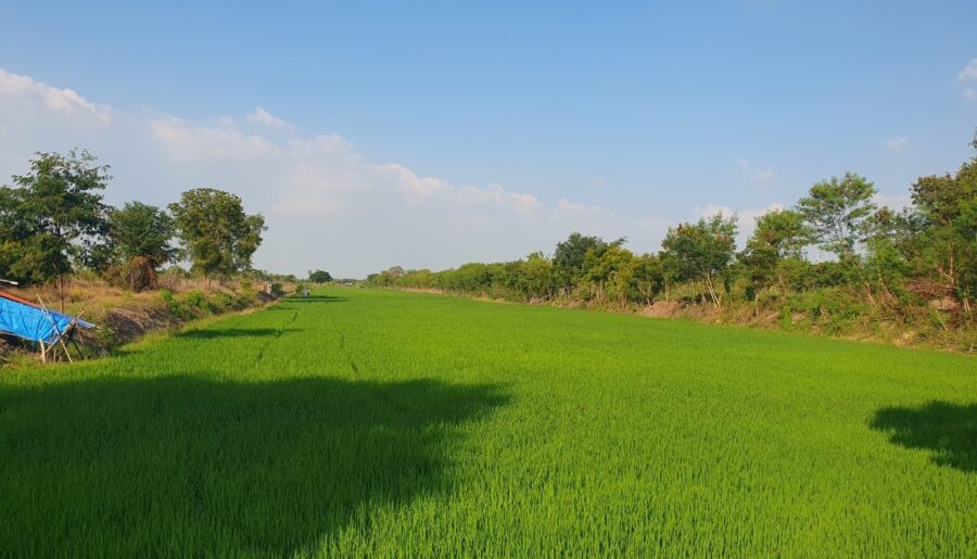 ขายที่ดิน ในตำบลบ่อเงิน อำเภอลาดหลุมแก้วปทุมธานี