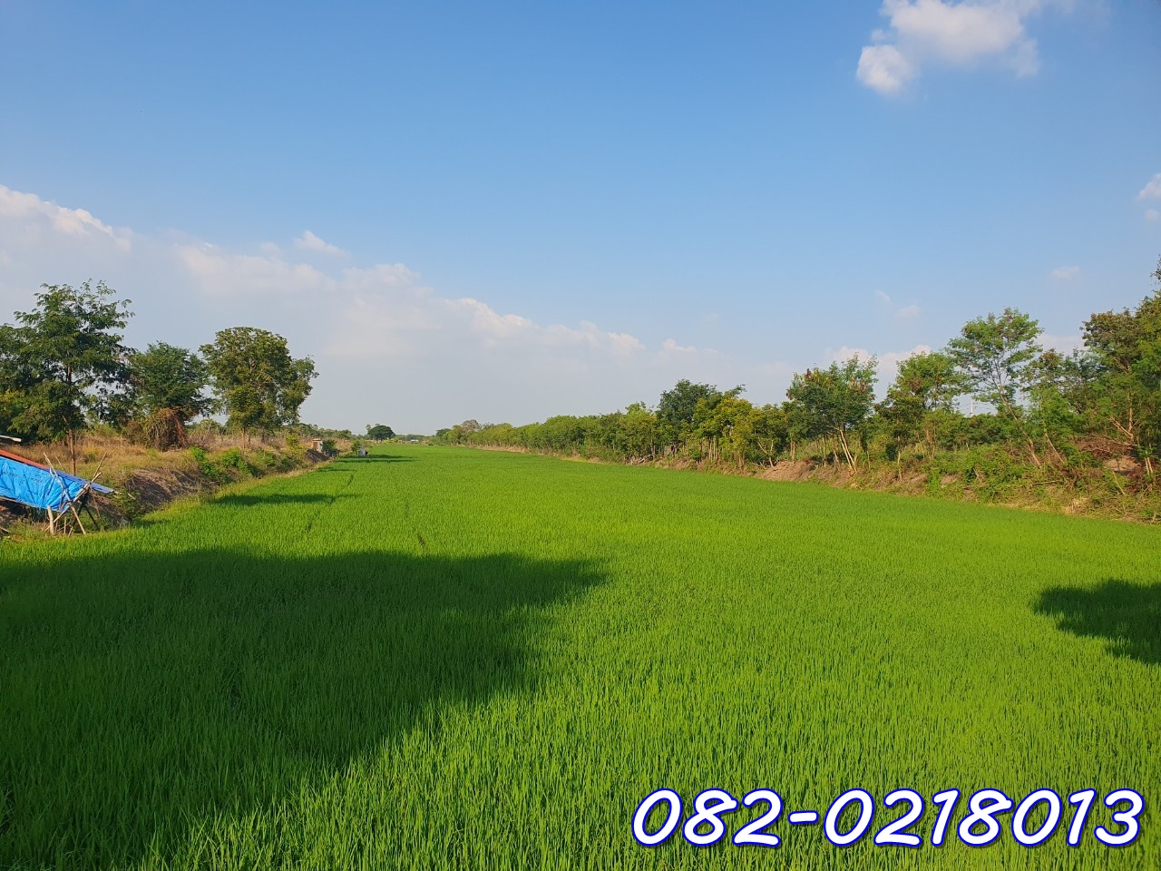 ขายที่ดิน ในตำบลบ่อเงิน อำเภอลาดหลุมแก้วปทุมธานี