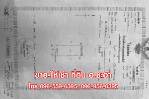 ขาย,ที่ดิน,ขาย ให้เช่า ที่ดินเปล่า 3 ไร่ ชะอำ เพชรบุรี ที่สวย,ขาย ให้เช่า ที่ดินเปล่า 3 ไร่ ชะอำ เพชรบุรี ที่สวย,มือสอง,ซอยบ่อแขม,บ่อแขม ชะอำ,ที่ดินเปล่า