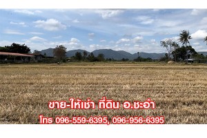 ขาย,ที่ดิน,ขาย ให้เช่า ที่ดินเปล่า 3 ไร่ ชะอำ เพชรบุรี ที่สวย,ขาย ให้เช่า ที่ดินเปล่า 3 ไร่ ชะอำ เพชรบุรี ที่สวย,มือสอง,ซอยบ่อแขม,บ่อแขม ชะอำ,ที่ดินเปล่า