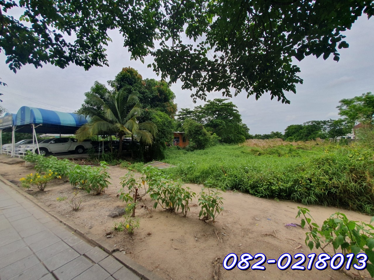 ที่ดิน 5-0-72 ไร่ หน้ากว้าง 30 เมตร ติดถนนซอย (คลองบางไผ่แยกจากซอยจันทร์ทองเอี่ยม)
