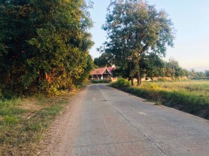 ขาย ที่ดิน ที่นา-ที่ดินราคาถูกนครราชสีมา เข้าออกหมู่บ้านได้2เส้นทาง ใกล้ทางหลวงหมายเลข24 น้ำประปาไฟฟ้าผ่านหน้าที่นา ใกล้ถนนโชคชัย-เดชอุดม